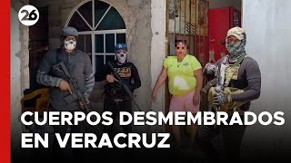 MÉXICO  ¿Quién está detrás de los cuerpos desmembrados en Veracruz [upl. by Nerrot]