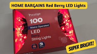 Home Bargains LED Berry Christmas Lights Review [upl. by Johiah]