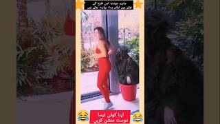 اپنا کوئی ایسا پیارا سا شرارتی دوست منشن کریںfunnyshorts [upl. by Maryjo]