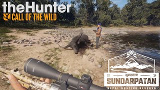 Cazando Búfalo de agua  TheHunter Call of the Wild [upl. by Niledam]