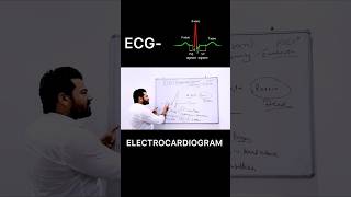 ECG  Electrocardiogram  biology shorts youtubeshorts trendingshorts viralshorts ecg facts [upl. by Diley668]