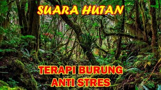 3 jam terapi burung anti stres suara hutan suara burung di alam liar dan suara air mengalir [upl. by Corabella765]