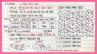 한국지리【81】 도시체계와 중심지이론by크리스탈러4단원 거주 공간의 변화와 지역개발ㅣ한국지리 강의ㅣ한국지리 노트필기ㅣ한국지리 개념ㅣ한국지리 공부 [upl. by Sarge]