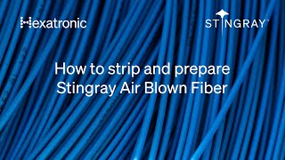 Stripping and preparation of Hexatronic Stingray Air Blown Fiber Unit [upl. by Banyaz]