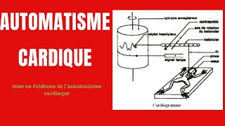 Cours 12 SVT Automatisme Cardiaque Terminale [upl. by Jeddy724]