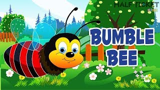 Baby Bumble Bee  Nursery Rhymes amp Kids Songs  Songs For Children By Halfticket Kids [upl. by Allisan]