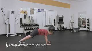 Caterpillar Walkouts to Side Plank [upl. by Elleuqar]