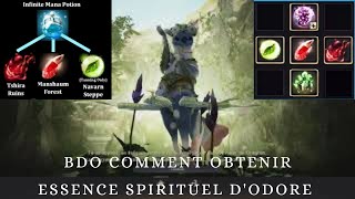 Infinite Mana Potion Guide 2023 Black Desert  Odores Spirit Essence [upl. by Prissy]