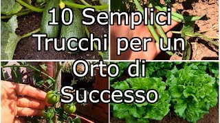 10 Semplici Trucchi per un Orto di Successo [upl. by Eselahs]