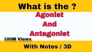 Difference Between Agonist And Antagonist  3D Animation  viral education [upl. by Lennaj]