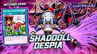 60 CARD SHADDOLL DESPIA  INSANE DUELS  GRASS GREENER COMBO MASTER DUEL [upl. by Esbenshade]