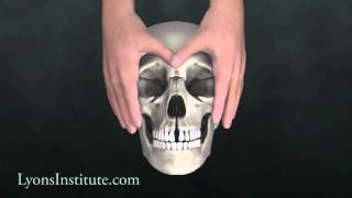 Biodynamic Craniosacral Therapy The Hard Palate  Orbital Hold [upl. by Herra]