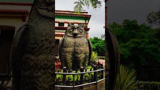 Kolkata Zoo Alipore  Kolkata Vlog  Mana Intlo Youtuber [upl. by Beauvais150]