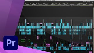 Adobe Premiere Pro CS55  INTRODUCTION [upl. by Rosel]