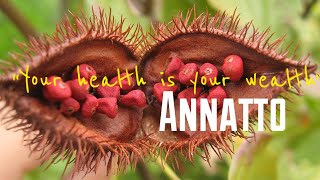 Amazing Health Benefits of Annatto Seeds  Achiote [upl. by Innos]