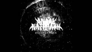 Anaal Nathrakh  Sub Specie Aeterni Of Maggots And Humanity [upl. by Royd601]