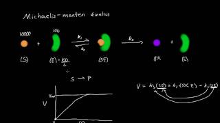 MichaelisMenten Derivation All Steps [upl. by Anneehs]