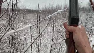 Pa Late Season Pheasant Hunting [upl. by Fabyola]