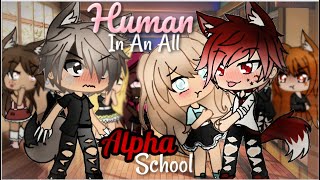 A Human In An All Alpha School  Gacha Life  GLMM [upl. by Nowtna]