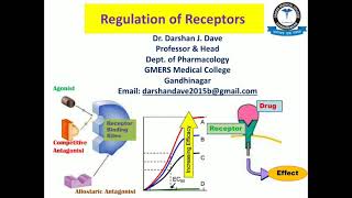 Upregulation amp Downregulation of Receptors [upl. by Nauj]