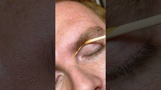 The Ultimate Eyebrow Waxing Tutorial for Perfect Arches [upl. by Matta888]