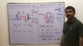 312Difference between Electrochemical and Electrolytic cell class 12th electrochemistry [upl. by Terri]