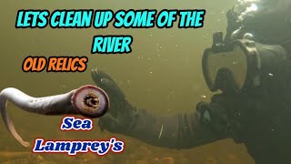 Piscataquis River Sea Lampreys Diving amp Underwater Metal Detecting mondaydigs river maine relics [upl. by Yrol]