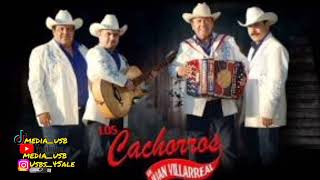 Los Cachorros De Juan Villarreal Pistola Reglamentaria El De Tomates Durango En VIVO [upl. by Ogirdor]