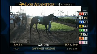 Los Alamitos Replays  Sunday September 01 2024  Race 1 [upl. by Mastat836]