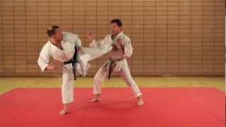 KARATÉ EXPERT  PASSAGE DE GRADES  Kihon Ippon Kumite  Niveau Avancé  1er DAN  Eric Delannoy [upl. by Eicnan312]