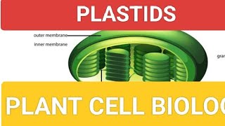 PLASTID I CELL BIOLOGY INEETI JPSC UPSC UPPCS BPSC AND ALL GOVERNMENT EXAMS [upl. by Vaughn]