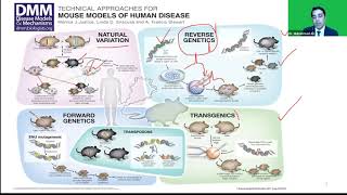 Generation of Mouse Models Using Engineered Nucleases and CRISPRCas9 [upl. by Stephenson]