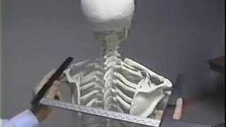 CDC Anthropometric Vid Introduction [upl. by Radnaskela217]