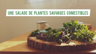 Une salade de plantes sauvages comestibles 🌱 [upl. by Sevik]