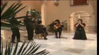 Chiquito al cante por tangos con La Gallina  Flamenco en Canal Sur [upl. by Gemperle153]