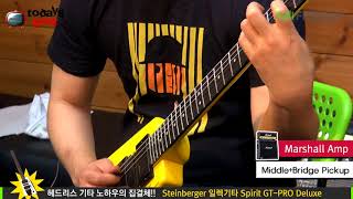 Todaysgear Steinberger Spirit GTPRO Deluxe [upl. by Babcock]