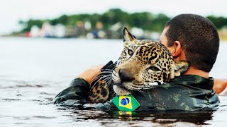 10 Most Inspiring Animal Rescues [upl. by Duane851]