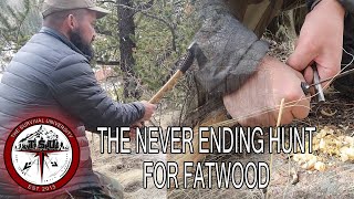 How to find fatwood [upl. by Ano]