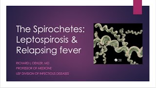 The Spirochetes Leptospirosis and Relapsing Fever  Richard L Oehler MD [upl. by Tenaj]