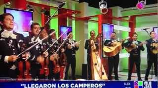 Mariachi Los Camperos quotLa Negraquot on PRIMERA EDICION [upl. by Sudderth]