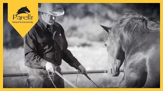 Parelli Horse Training  Horsemanship [upl. by Eberhard517]