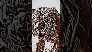 Shere khan vs baloo edits [upl. by Pooley]