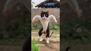 Cat dance😁😅 trending nadiya youtubeshorts funny [upl. by Vasos829]