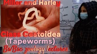 Class Cestoidea  Tapeworms  Phylum platyhelminthes  Characteristics of tapeworms Bsbsc Zoology [upl. by Aspia]