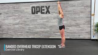 Banded Overhead Tricep Extension [upl. by Rania]