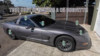 Avoiding Costly Mistakes Corvette C5 Ownership Tips [upl. by Naaman304]