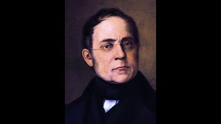 The Best of Carl Czerny  Piano Etudes [upl. by Talbott410]