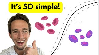 OxygenHemoglobin Dissociation Curve  EASY Explanation with visuals [upl. by Drawde]