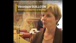 Véronique GUILLOTIN Sénatrice Radicale de MeurtheetMoselle interrogée par Public Sénat [upl. by Bick472]