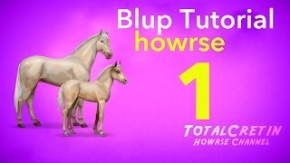 Howrse  Blup Tutorial Part 1 [upl. by Dnomsed]